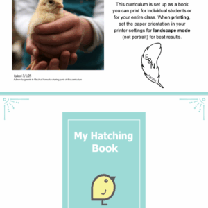 Hatching Curriculum - Chicken