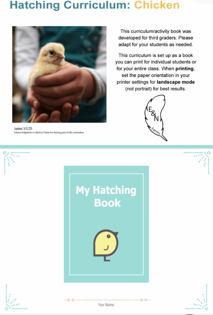 Hatching Curriculum - Chicken