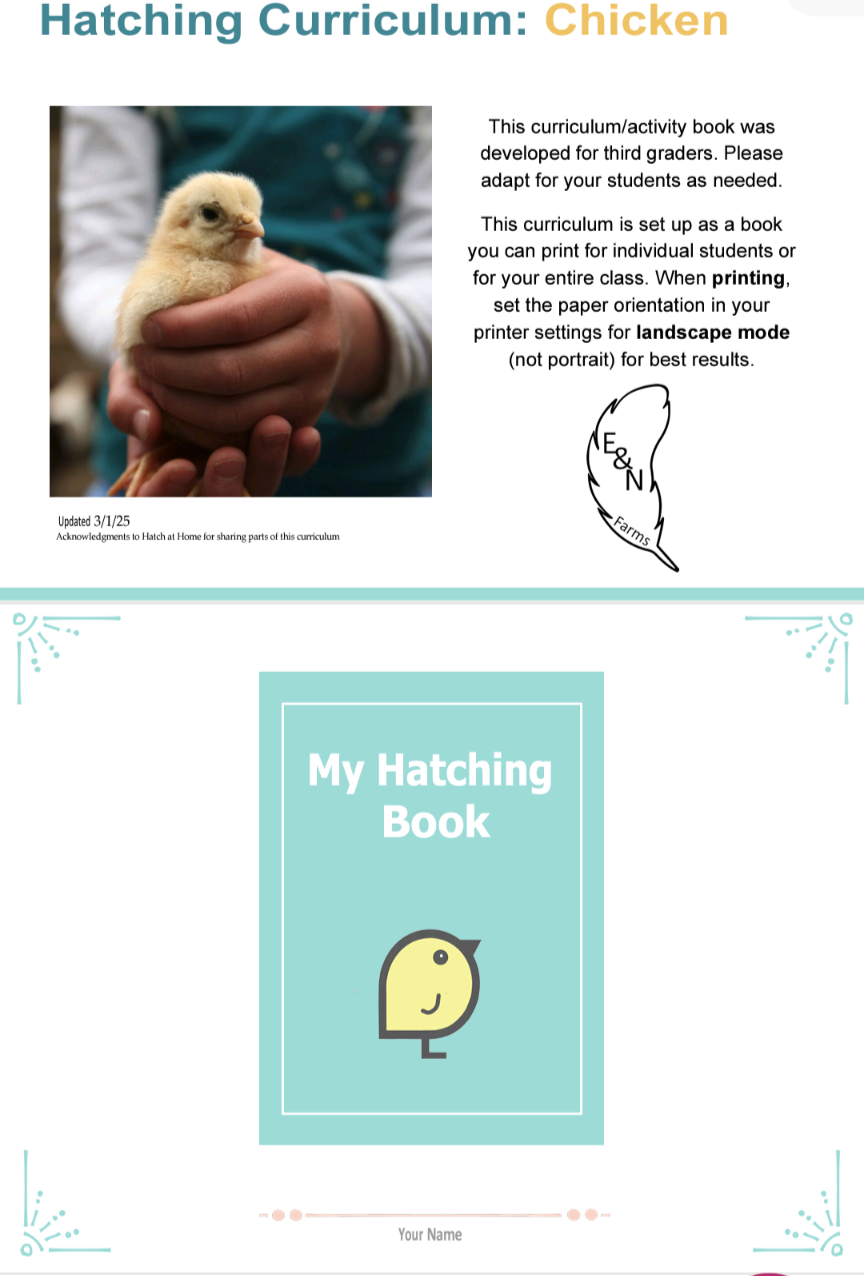 Hatching Curriculum - Chicken